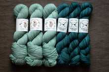Load image into Gallery viewer, Six skeins of teal yarn with labels on a dark surface