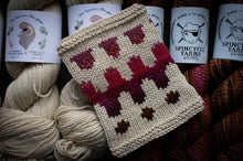 Load image into Gallery viewer, Knitted swatch with geometric pattern next to Spincycle Yarns yarn and labels
