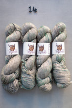 Load image into Gallery viewer, Four skeins of yarn with a brand label on a gray background