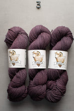 Load image into Gallery viewer, Three skeins of purple yarn with 'Pashmin' labels on a gray background
