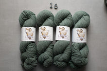 Load image into Gallery viewer, Four skeins of green yarn with labels on a gray background