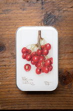 Load image into Gallery viewer, Tin box with cherry illustration on a wooden surface