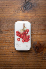 Load image into Gallery viewer, Small tin container with cherry illustration on a wooden surface