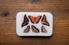 Load image into Gallery viewer, Small rectangular tin with butterfly illustrations on a wooden surface