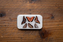 Load image into Gallery viewer, Small rectangular container with butterfly illustrations on a wooden surface