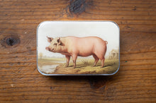 Load image into Gallery viewer, Tin box with a pig illustration on a wooden surface