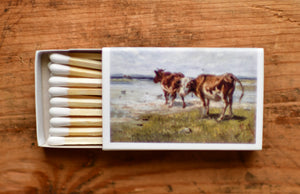 matches with cow box design