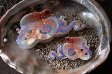 Load image into Gallery viewer, Two small octopuses inside a large shell on a dark background