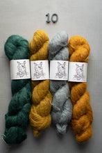 Load image into Gallery viewer, Four skeins of yarn in green, yellow, gray, and orange on a gray background with 'Oh Darn' labels.