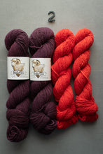 Load image into Gallery viewer, Two skeins of dark purple yarn and two skeins of red yarn on a gray background with 'Sakari' labels.