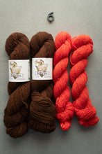Load image into Gallery viewer, Two skeins of brown yarn and two skeins of red yarn on a gray background with 'Skein Pi' labels.