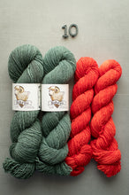 Load image into Gallery viewer, Two skeins of green yarn and two skeins of red yarn on a gray background with 'Sole Pup' labels.