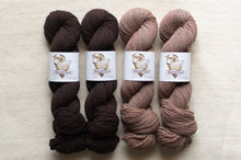Load image into Gallery viewer, Four skeins of yarn in varying shades of brown on a light background with labels.