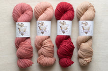 Load image into Gallery viewer, Four skeins of yarn in pink, peach, red, and beige with labels on a neutral background