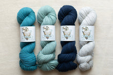 Load image into Gallery viewer, Four skeins of yarn in blue, green, navy, and gray on a beige background with &#39;Pashmin&#39; labels.