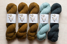 Load image into Gallery viewer, Five skeins of yarn in brown, green, and blue with labels on a beige background