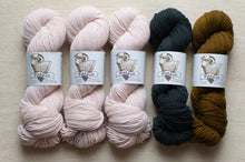 Load image into Gallery viewer, Five skeins of yarn in pink, black, and brown with labels on a beige background