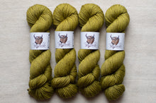 Load image into Gallery viewer, Four skeins of green yarn with labels on a beige background