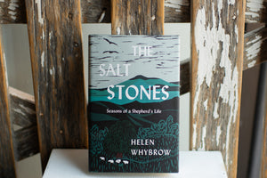 "The Salt Stones" by Helen Whybrow