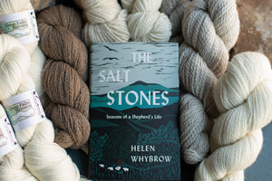 "The Salt Stones" by Helen Whybrow