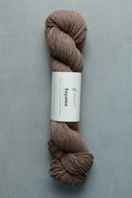 Load image into Gallery viewer, brown sayama yarn hank