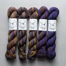 Load image into Gallery viewer, Five skeins of purple and gold yarn with Spincycle Yarns labels on a gray background