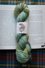 Load image into Gallery viewer, Multicolored skein of yarn on a book with a label