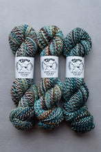 Load image into Gallery viewer, Three skeins of yarn with Plump Spincycle Yarns labels on a gray background