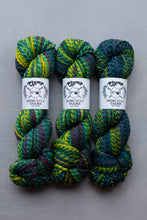 Load image into Gallery viewer, Three skeins of multicolored yarn with &#39;Plump Spincycle Yarns&#39; labels on a gray background