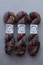 Load image into Gallery viewer, Three skeins of multicolored yarn with Spincycle Fabes labels on a gray background