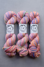 Load image into Gallery viewer, Three skeins of multicolored yarn with &#39;Plump Spincycle Yarns&#39; labels on a gray background