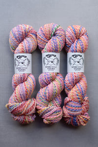 Three skeins of multicolored yarn with 'Plump Spincycle Yarns' labels on a gray background