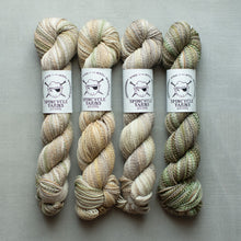Load image into Gallery viewer, Dyed in the Wool - Spincycle Yarns