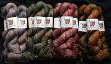 Load image into Gallery viewer, Bear Paw DK Variegated Collection