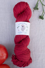 Load image into Gallery viewer, the spinster daughter red yarn hank
