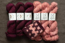 Load image into Gallery viewer, spinster&#39;s daughter and oh dang! yarn hanks