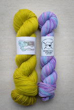 Load image into Gallery viewer, Two skeins of yarn, one yellow and one multicolored, on a neutral background with labels.