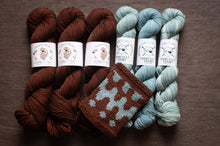 Load image into Gallery viewer, Three skeins of brown yarn, three skeins of blue yarn, and a knitted swatch on a brown background.