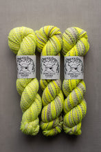 Load image into Gallery viewer, Three skeins of variegated yarn in a bright neon yellow-green and gray stripe pattern, each with a white paper label reading 'Dreamy Softs Spincycle Yarns,' arranged side by side on a neutral gray background.