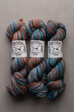 Load image into Gallery viewer, Three skeins of variegated yarn from Dreamy Spool Yarns arranged vertically on a neutral gray background. The yarn features a blend of teal blue, rust orange, and white fibers, with white paper labels wrapped around the center of each skein.