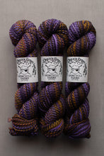 Load image into Gallery viewer, Three skeins of variegated yarn with white paper labels reading 'Dream Spire Yarns Spincycle Yarns' in purple, orange, and brown tones, arranged side by side on a neutral gray background.