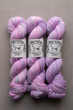 Load image into Gallery viewer, Three skeins of variegated yarn in shades of pink, purple, and blue, each wrapped with a white paper label reading 'Dreamy Softs Spincycle Yarns,' arranged side by side on a neutral gray background.