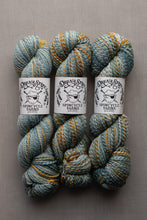 Load image into Gallery viewer, Three skeins of Dreamy Spicy 'Spincycle Yarns' variegous yarn in a dusty teal-blue and mustard yellow blend, arranged side-by-side on a neutral gray background.