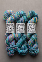 Load image into Gallery viewer, Three skeins of variegated yarn from Dream Star Spincycle Yarns arranged side by side on a neutral gray background. The yarn features a variegated pattern of teal, blue, pink, yellow, and purple.