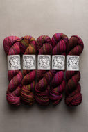 Five skeins of variegated yarn from Dream Catcher Specialty Yarn arranged side by side on a neutral gray background. The yarn features a marbled pattern of deep magenta, burgundy, purple, and hints of green and gold.