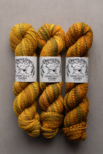 Load image into Gallery viewer, Three skeins of variegated yarn in yellow, orange, and green tones, each wrapped with a white paper label reading 'Dream Spinner Spincycle Yarns' on a plain gray background.