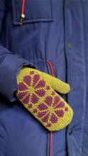 Load image into Gallery viewer, Double Knittens and Daisy Dukes Mitten Kits