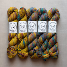 Load image into Gallery viewer, Five skeins of multicolored yarn with labels on a neutral background