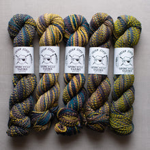 Load image into Gallery viewer, Five skeins of multicolored yarn with Spincycle Yarns labels on a gray background