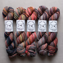 Load image into Gallery viewer, Five skeins of multicolored yarn with Spincycle Yarns labels on a gray background